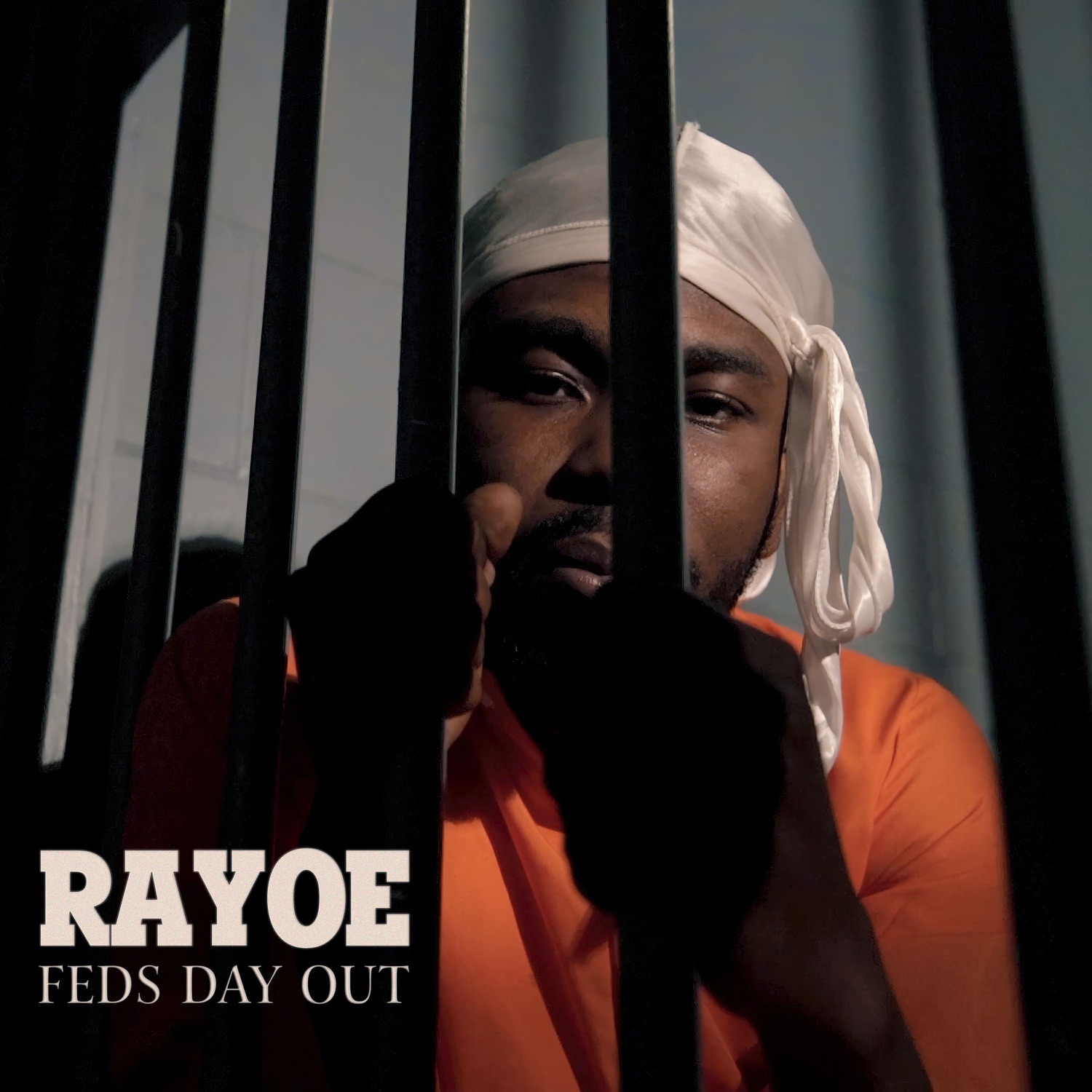 Feds Day Out by Rayoe, cover art
